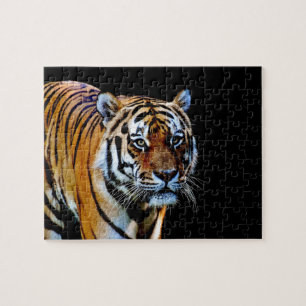 Tiger With Black Background Jigsaw Puzzle