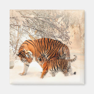 Tiger With Cub in Winter Snow Magnet