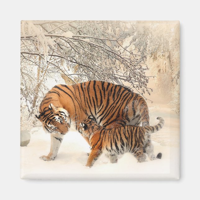 Tiger With Cub in Winter Snow Magnet (Front)