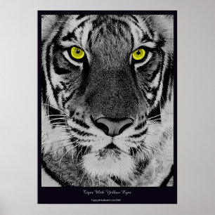 Tiger With Yellow Eyes Poster