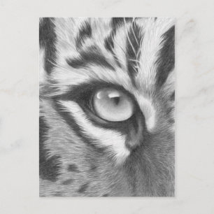 Tigerauge - Bleistiftzeichnung Postcard