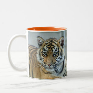 Tigerbaby_001 Two-Tone Coffee Mug