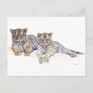 tigercubs postcard