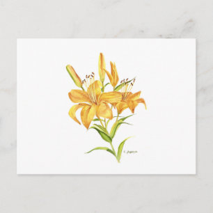 Tigerlily yellow orange watercolor botanical postcard