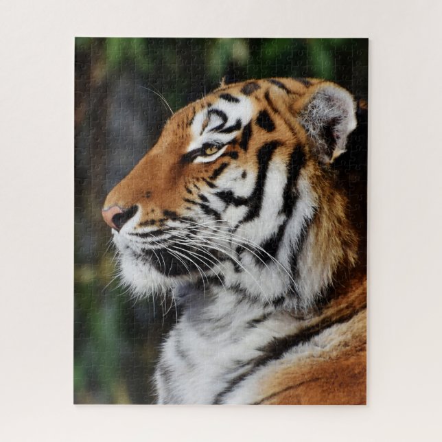 Tigers Big Cats. Jigsaw Puzzle (Vertical)