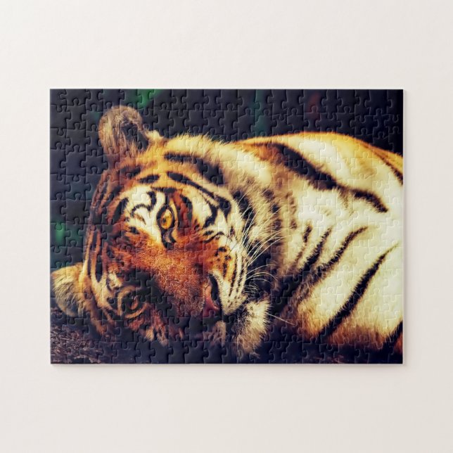 Tigers Big Cats. Jigsaw Puzzle (Horizontal)