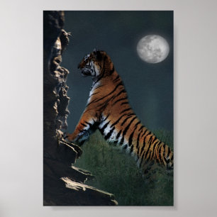 Tigers climb poster