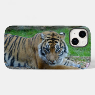 Tiger's Gaze iPhone / iPad Case