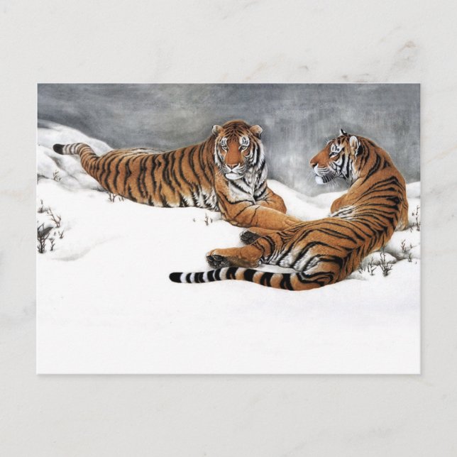 Tigers in the snow, Classical Chinese Art Postcard (Front)