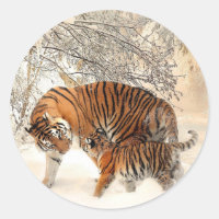 Tiger's mother