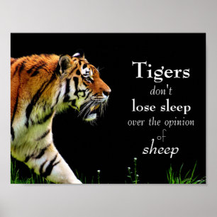 Tigers // Motivational Poster