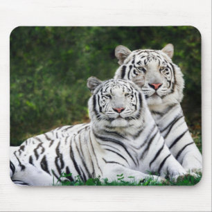 Tigers Mouse Pad