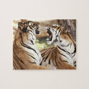 Tigers Puzzle