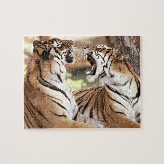 Tigers Puzzle (Horizontal)