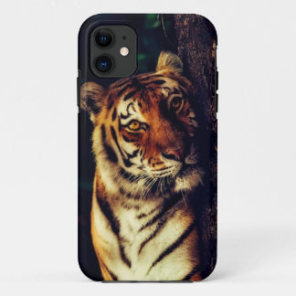 Tiger's Touch iPhone 11 Case
