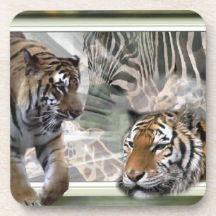 Tigers, Zebra,Giraffe, Primitive Jungle Coaster