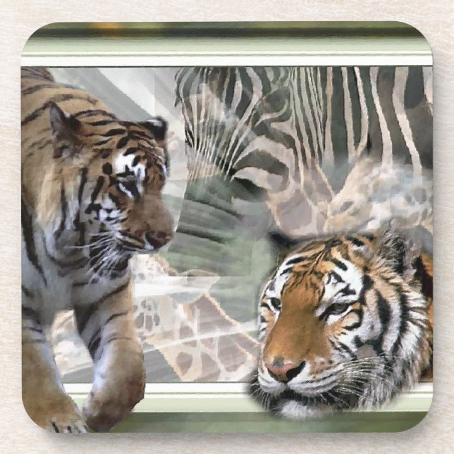 Tigers, Zebra,Giraffe, Primitive Jungle Coaster (Front)