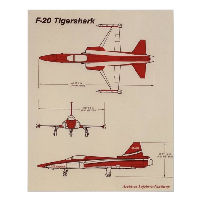 tigershark f20 poster (Front)