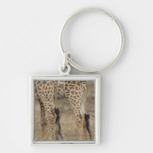 Tight crop of two Giraffes (Giraffa Key Ring
