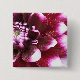 Tight in photographs of Dalhia flower with the 15 Cm Square Badge