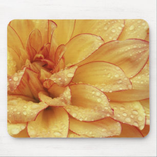 Tight in photographs of Dalhia flower with the 2 Mouse Pad