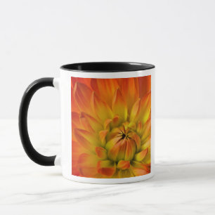 Tight in photographs of Dalhia flower with the Mug