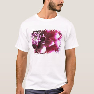 Tight in photographs of Dalhia flower with the T-Shirt