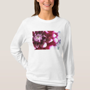 Tight in photographs of Dalhia flower with the T-Shirt