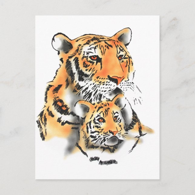 Tigress and cub postcard (Front)