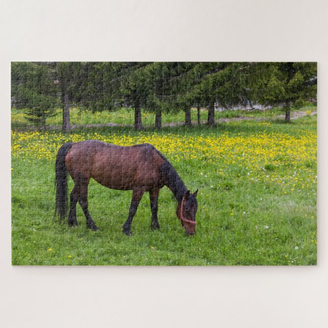 Tihuta Pass, Horse in Pasture Jigsaw Puzzle (Horizontal)
