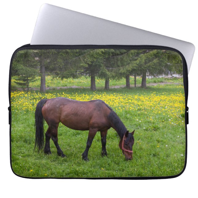 Tihuta Pass, Horse in Pasture Laptop Sleeve (Front)