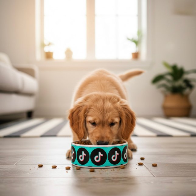 TikTok Bowl (Creator Uploaded)