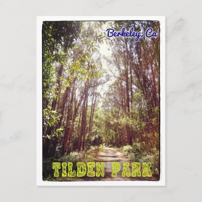 Tilden Park hiking path postcard (Front)