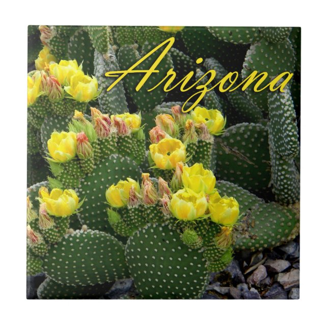 Tile, Arizona Prickly Pear Cactus Photo Tile (Front)