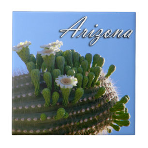 Tile, Arizona Saguaro Cactus Photo Tile