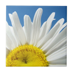 Tile Art White Daisy Flowers Blue Sky nature