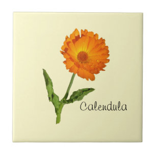 Tile - Calendula