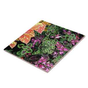 TILE,"COLORFUL COLEUS" DECORATIVE TILE