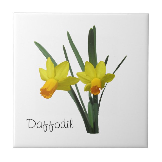Tile - Daffodil (Front)
