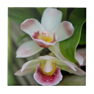 Tile - Fan Shaped Orchid