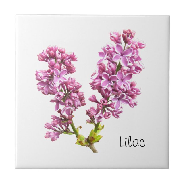 Tile - Lilac Blossoms (Front)