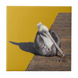Tile - Pelican on boardwalk