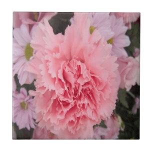 Tile Pink Carnation Beauty