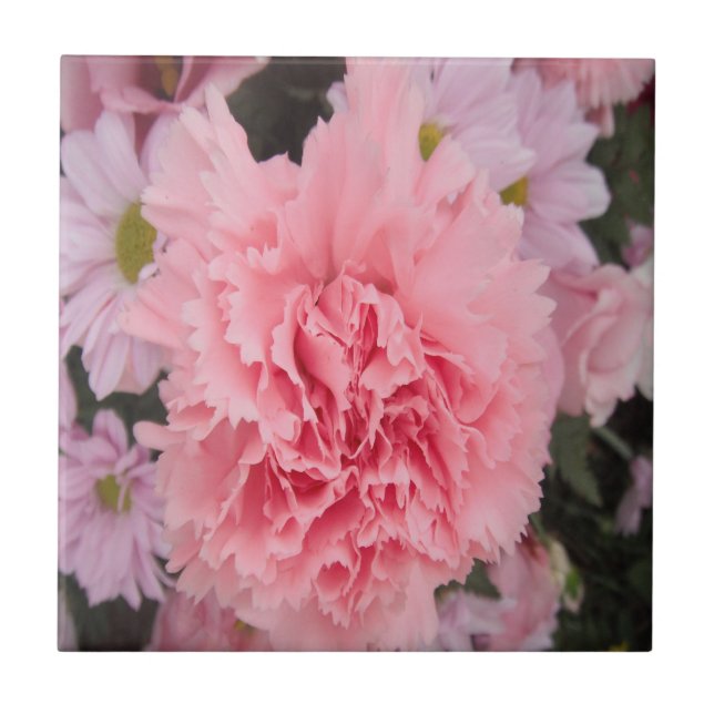 Tile Pink Carnation Beauty (Front)