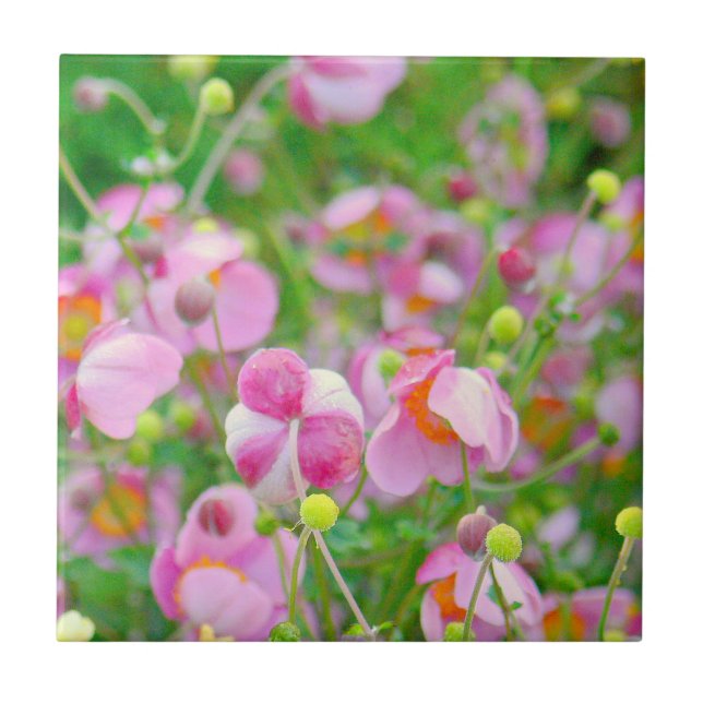 TILE "PINK FLOWERS LOOK ALMOST LIKE CANDY" (Front)