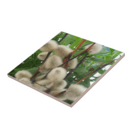 Tile (PussyWillowsInLeaves) RFPMDesigns ©️2012