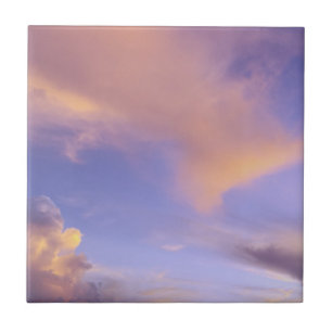 TILE/TRIVET "PAINTED SKY" CERAMIC TILE