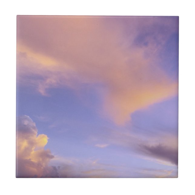 TILE/TRIVET "PAINTED SKY" CERAMIC TILE (Front)