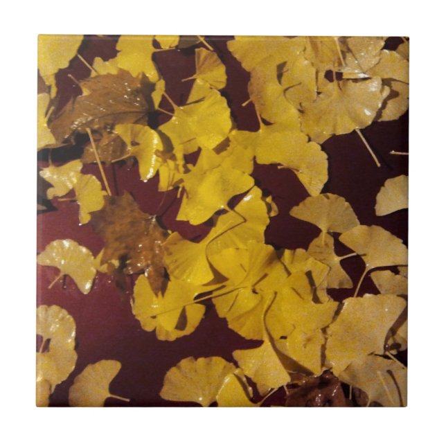 Tile / Trivet with Fall picture of yellow leaves (Front)