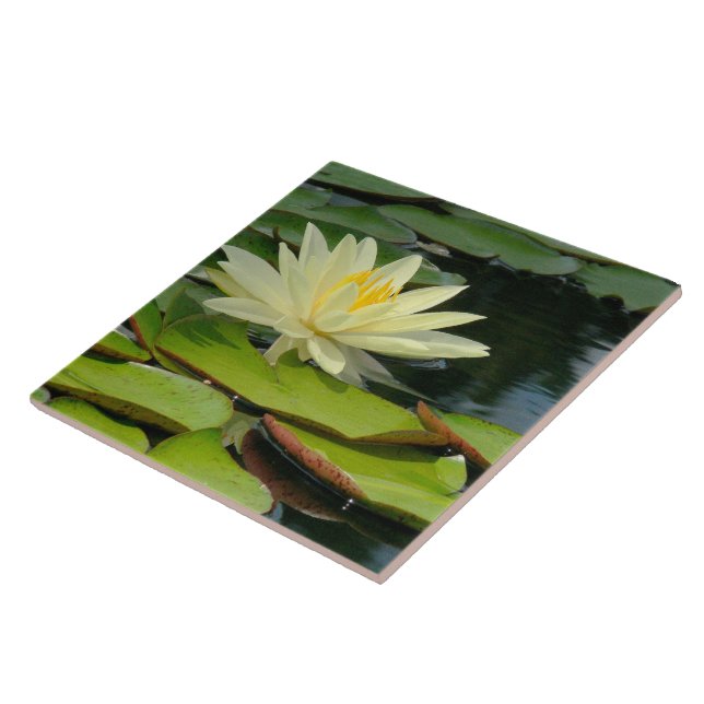 Tile / Trivet Yellow Lotus Blossom (Photog) (Side)